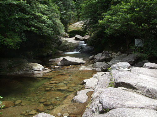 屋久島30.jpg
