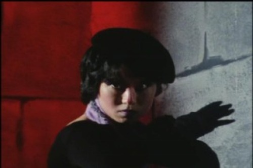 PDVD_015.jpg