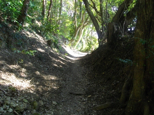 花嫁街道登山道 (2) (500x375).jpg