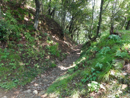 新田金山城西矢倉台堀切 (1).JPG