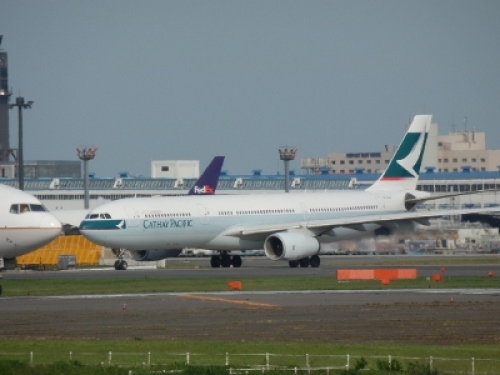 P6240256 (400x300).jpg