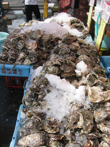 20140706_那珂湊お魚市場　大量の岩牡蠣.jpg