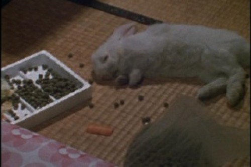 PDVD_044.jpg