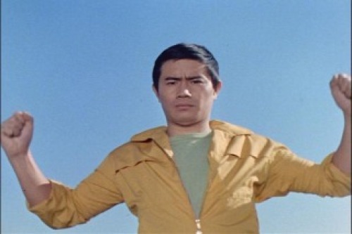 PDVD_011.jpg