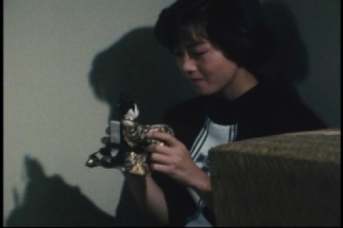 PDVD_005.jpg