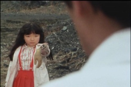 PDVD_032.jpg