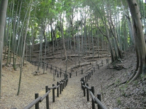 小机城二の丸空堀 (500x375).jpg