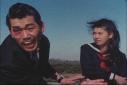 PDVD_023.jpg