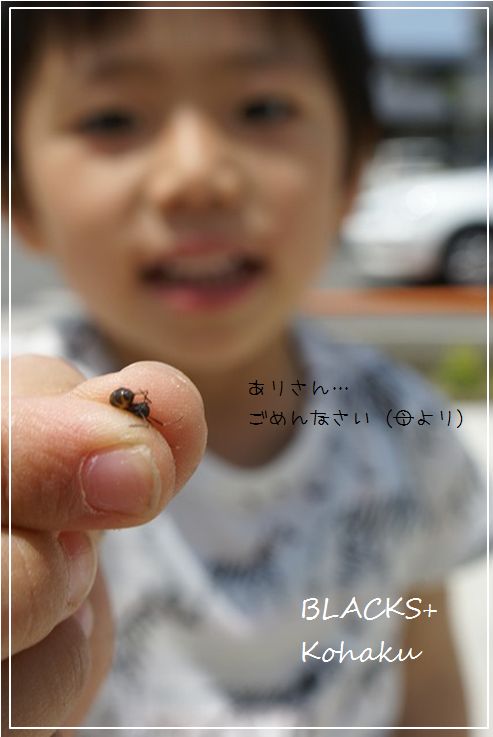 WS000001.JPG