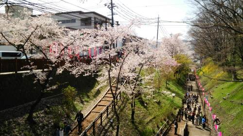 20150418上田04　上田城二の丸橋より堀.jpg