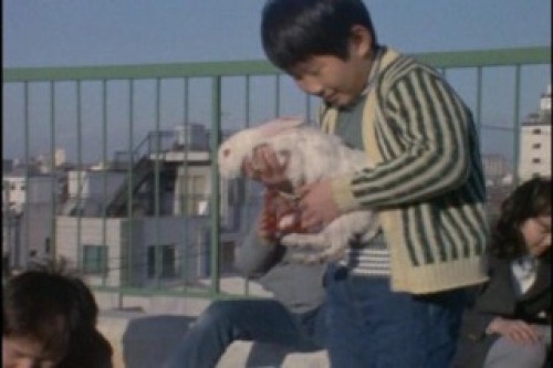 PDVD_053.jpg