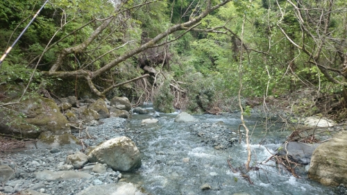 01094_R.JPG
