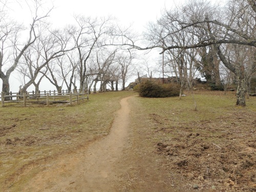 鳥取城山上ノ丸本丸.JPG