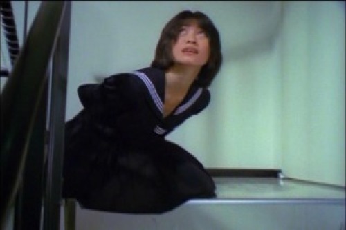 PDVD_351.jpg