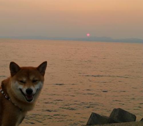 小浜の夕日.JPG