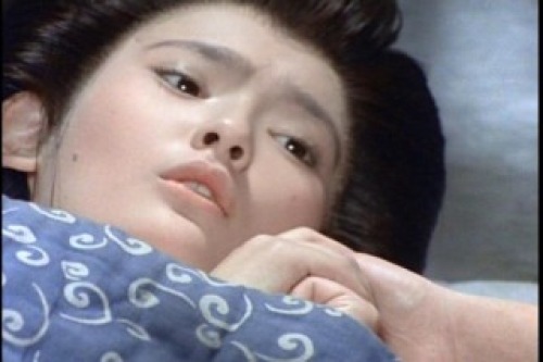PDVD_005.jpg