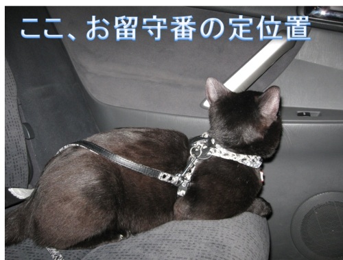 チャン22.jpg