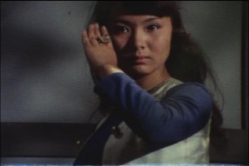 PDVD_066.jpg
