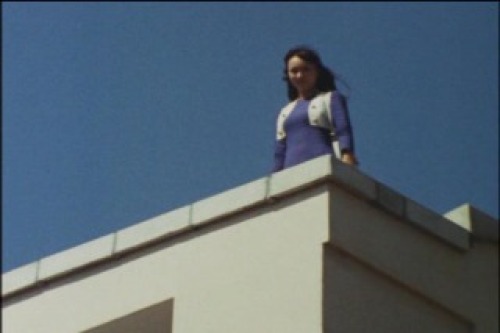 PDVD_012.jpg