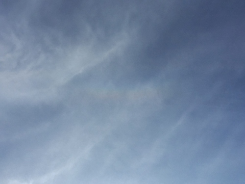 IMG_2529 (640x480).jpg