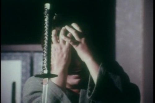 PDVD_037.jpg