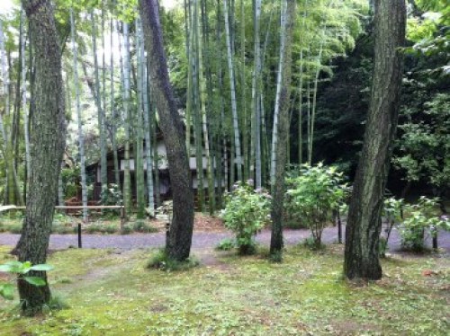 変換 ~ IMG_0813.jpg
