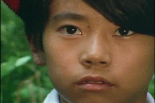 PDVD_009.jpg