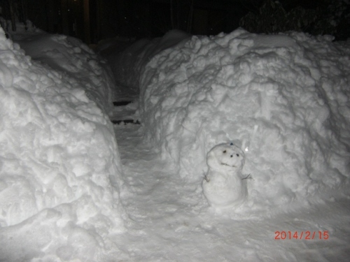 CIMG7133 (640x480).jpg