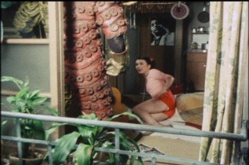 PDVD_012.jpg