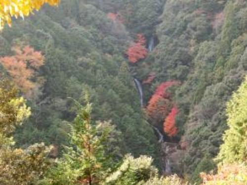 変換 ～ 布引の滝 20131124 004.jpg