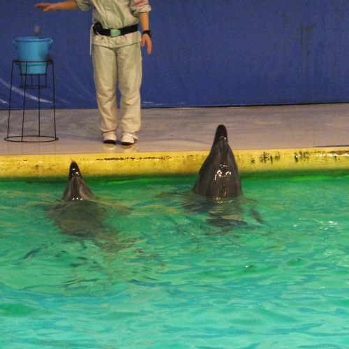DSCF5807.JPG