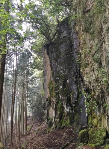 IMG_6713 (466x640).jpg