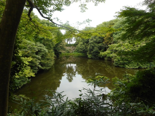 高岡城鍛冶丸より本丸内堀.JPG