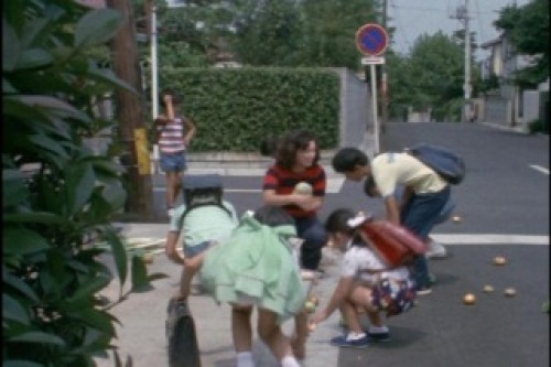 PDVD_004.jpg