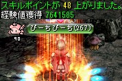 キングクラブの巣