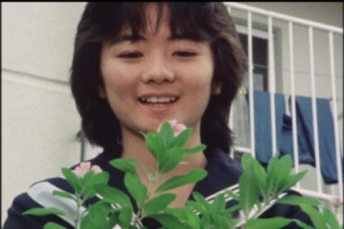 PDVD_045.jpg