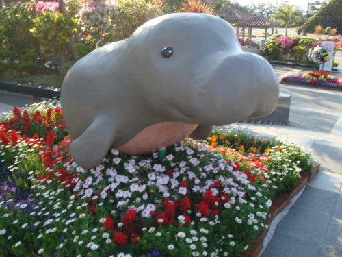 DSC07167.JPG