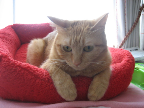 Sept. 23, 2013(1).JPG