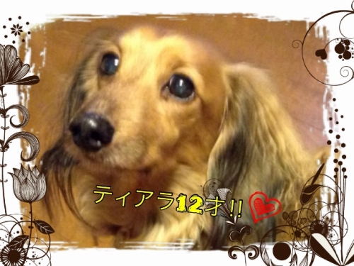 IMG_0152 (640x480).jpg