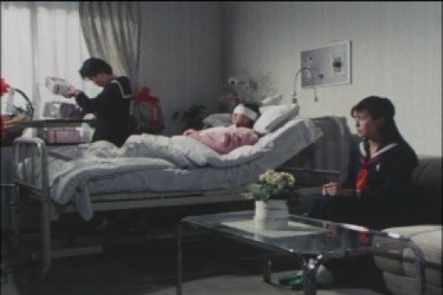 PDVD_003.jpg