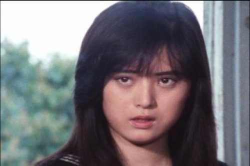 PDVD_319.jpg