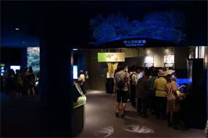 沖縄559.jpg