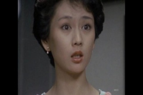 PDVD_009.jpg