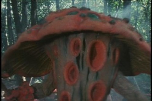 PDVD_002.jpg