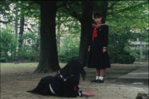 PDVD_026.jpg