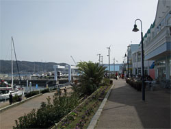 伊豆8.jpg