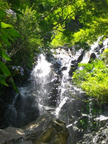 湯坂路飛龍の滝 (3) (375x500).jpg