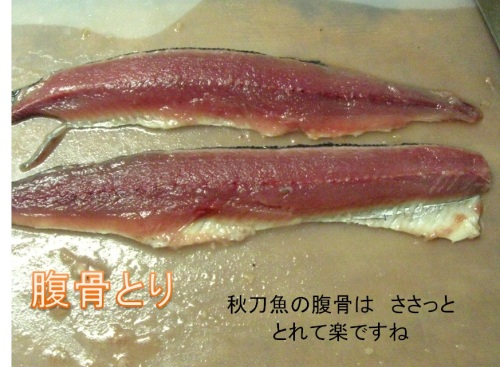 サンマ7.jpg