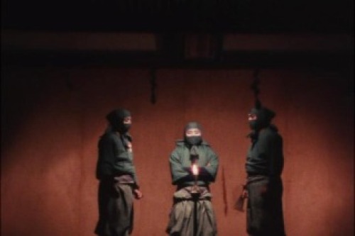 PDVD_027.jpg