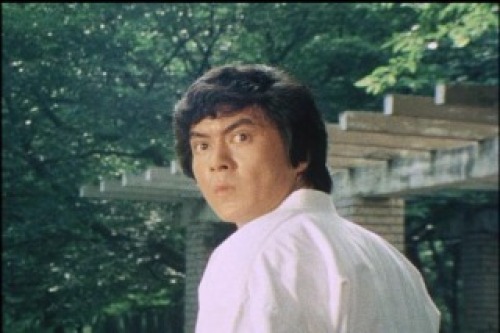 PDVD_014.jpg
